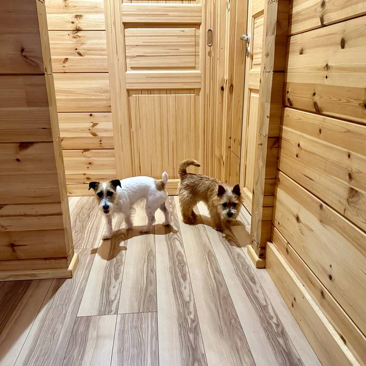 5efa883c 1186 4f76 bc47 14a2062b7e32 1717141415517