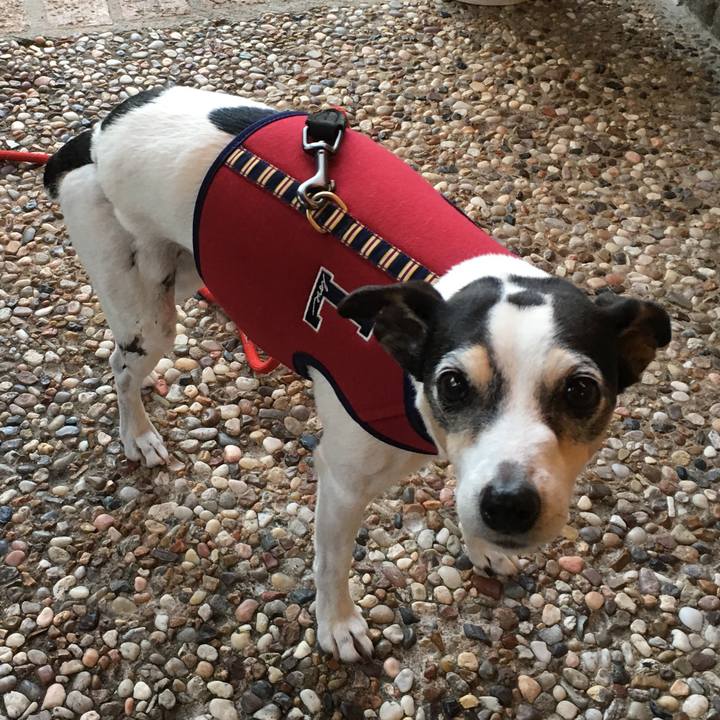 5efaac8b 1f93 477c b666 90a491813994 1541163676311