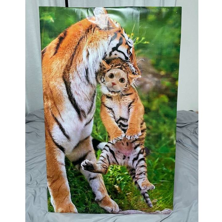 5efab7b5 bb92 4616 a4bc 7ec9e37e2903 1725022608779