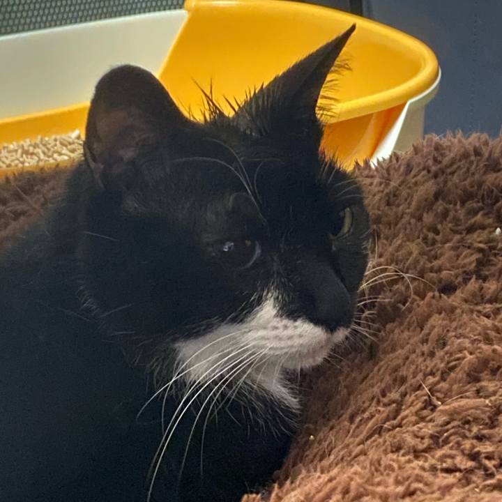 5efaf0be 2465 431f a2d7 62eedd680694 1601726975046