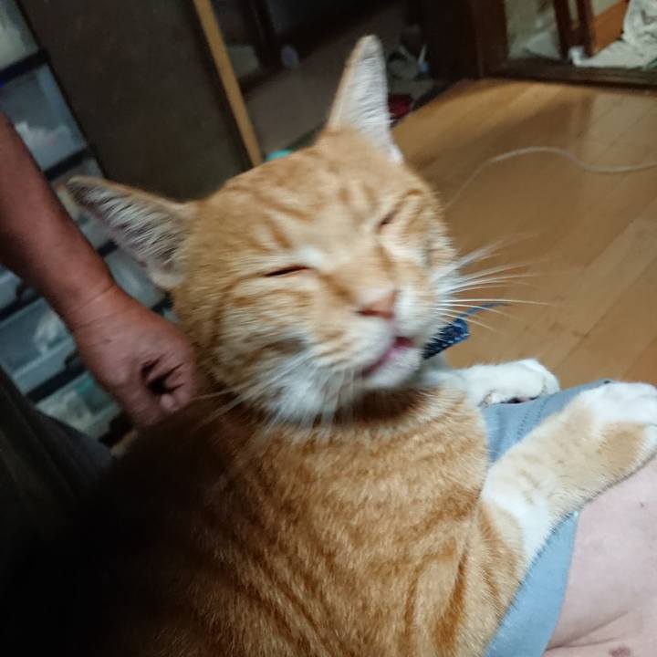 5efb066c 7882 4167 855e c3a831caed6e 1598472945809