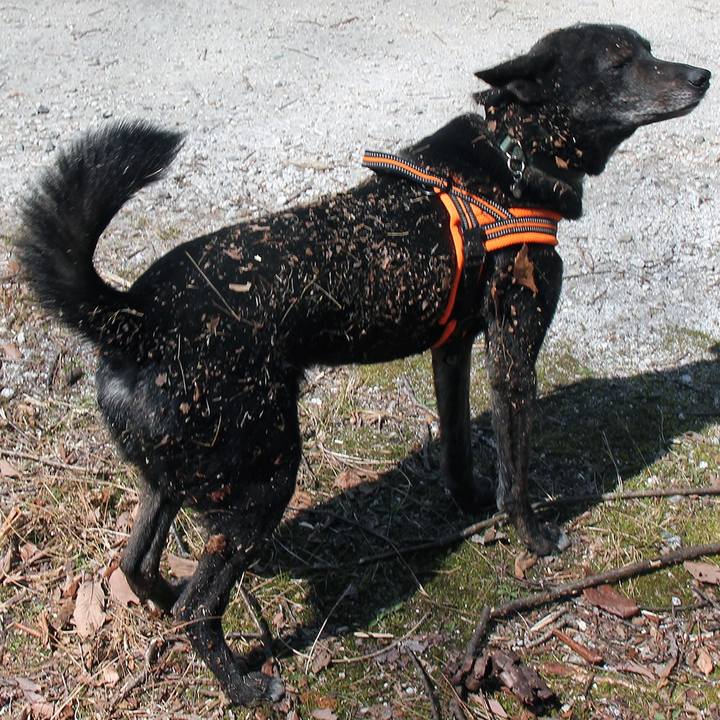 5efb1393 a88a 46ae 91a0 c2d0e18cfbd3 1587085441595