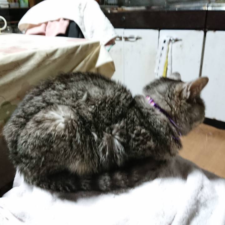 5efb14dd 3d8d 4abd aa40 b33922235658 1585514086403