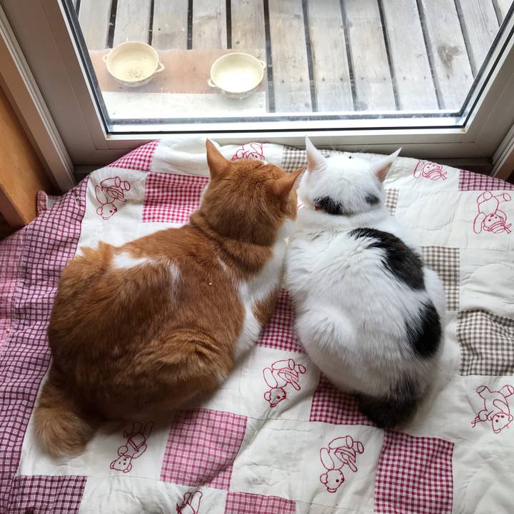 5efb1fff 4114 4180 a864 38d537a20358 1600033158692