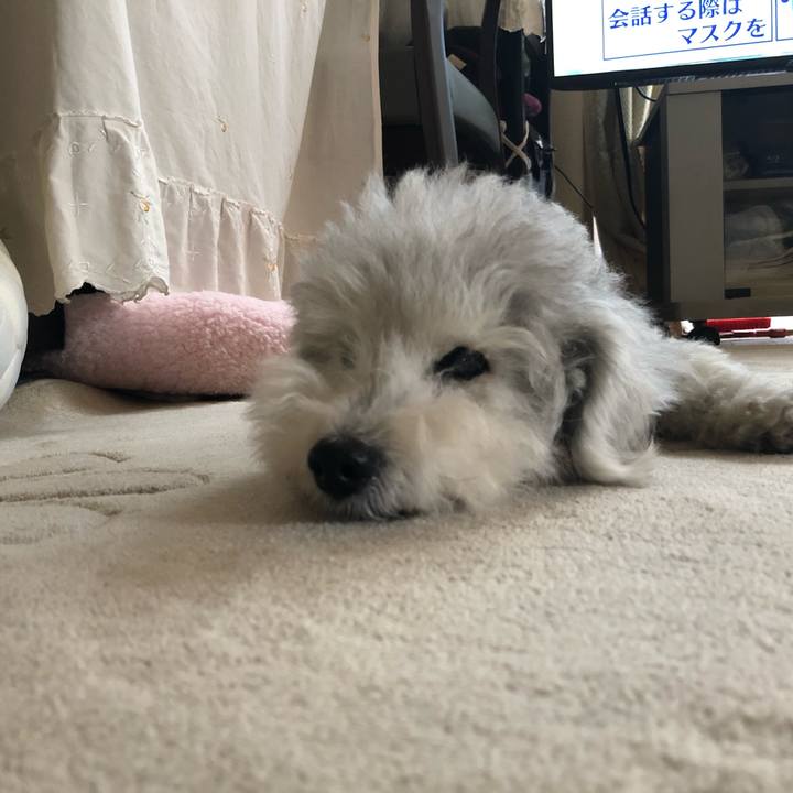 5efb6a12 62ad 46b6 901c 909cd4552e8c 1657152707276