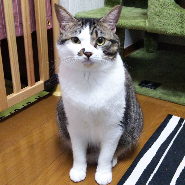 5efb8f61 0c6d 43fa b681 20b8df0eb2ce 1633002011751