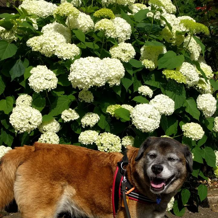 5efb9db5 66c4 4dbd 978f 193d2b57353c 1748824550742