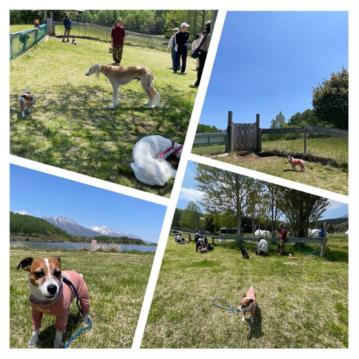 5efba54d 8298 46bc 969c 0337280665dd 1747126575442