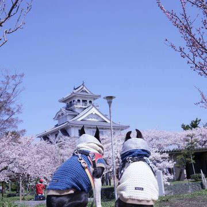 5efbb017 8aff 437a 82e1 b1bd15b1ae21 1554726328838