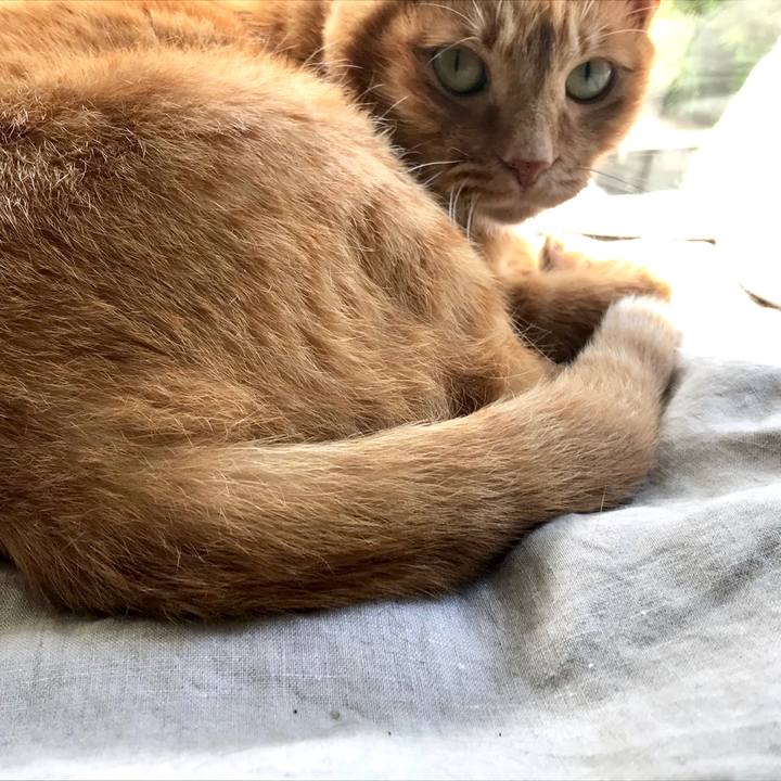 5efbcc28 c022 4a5c 8909 0ca5b9a711d8 1557969993350