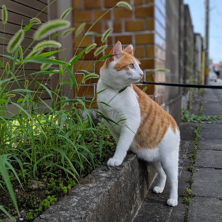 5efc3b81 259f 4e52 be1b ec742a3b6cad 1567219338793