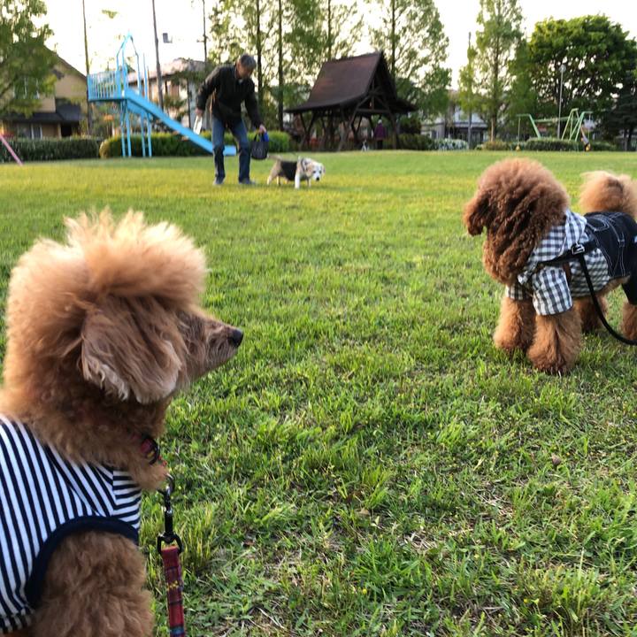 5efc3ba3 9ddf 4790 8323 e8dbea742f50 1557681820583