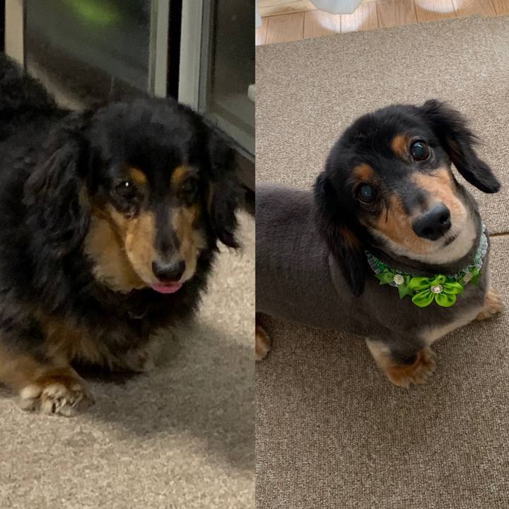 5efc4222 afa7 45a6 b688 3c68db67bb51 1561172522178