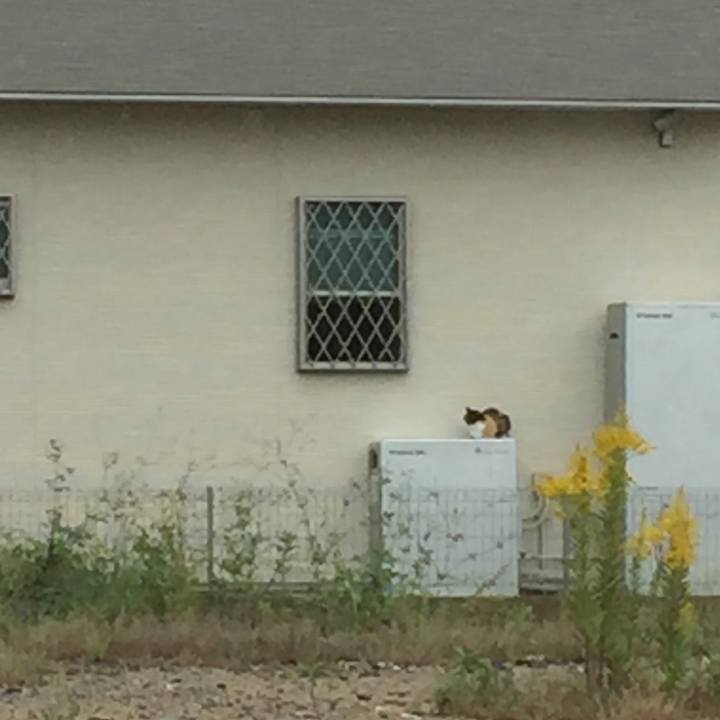 5efc4eac 6429 4331 951a 7698a26c37db 1508401676413