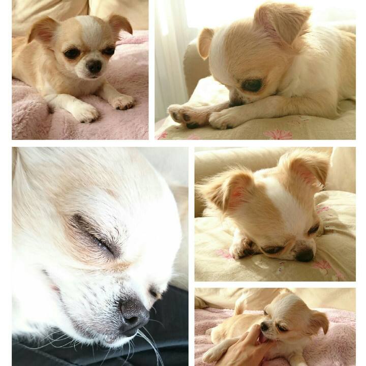 5efcdfbf 8a61 4c13 916d b9c9291d6d18 1516322397684