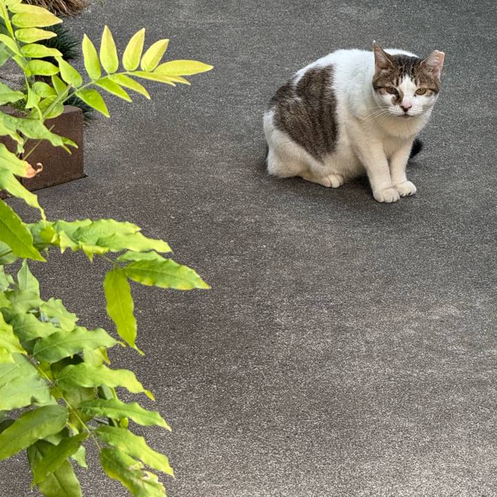 5efcec1c 3a68 4199 8352 89cf98d14bca 1757298699355