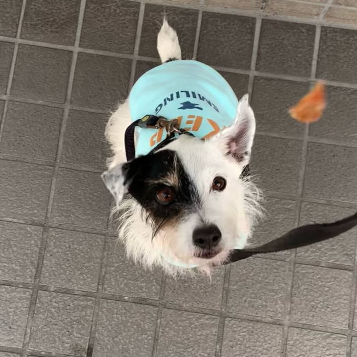 5efd1042 db7c 492f a4a9 f360fd3b67ae 1731974359912