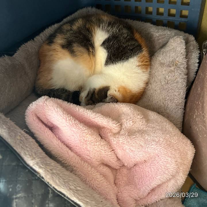 5efd11e8 63c7 48ca 9af6 45e249dd0edf 1774750452872