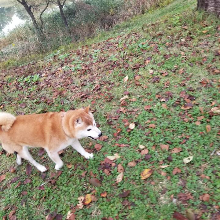 5efd5b31 c2ca 4f72 9ce9 c04553346d03 1666420043590