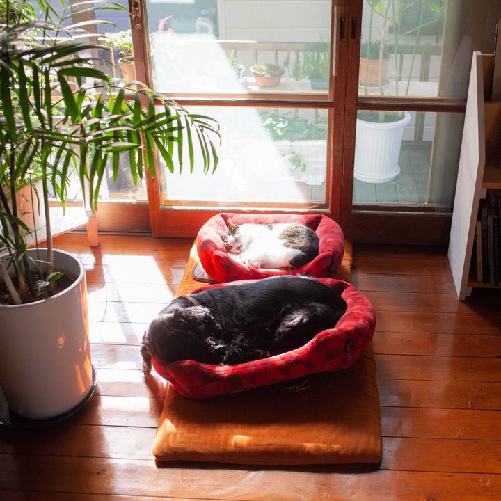 5efd61cf 91d2 4d88 a7c9 eef20bd74540 1573657267502