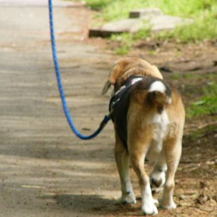 5efd8313 6394 487e bb0f 54f5df20cee9 1663892965422