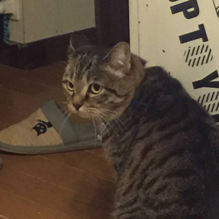 5efd8edb 4397 406c 80ca b759be46fd37 1551626112507