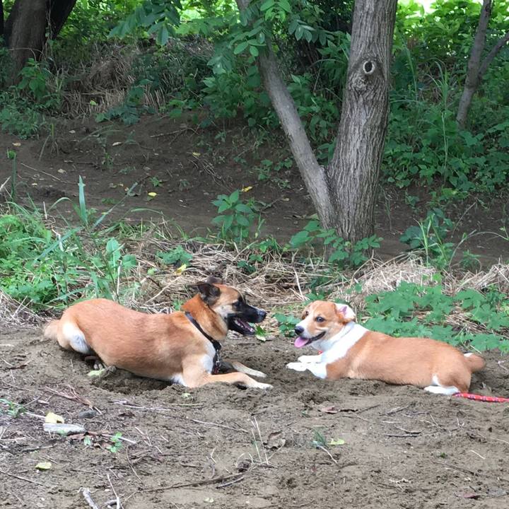 5efdf088 9d8a 4bc2 a31e 3308b5180951 1594951248251