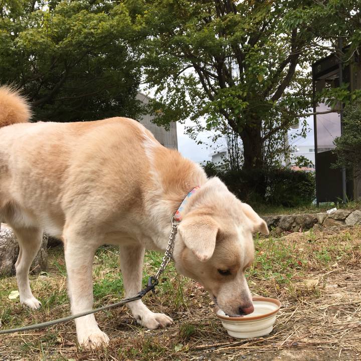 5efdf14d 6cb2 4c97 a166 3a40a1f88741 1508815046066