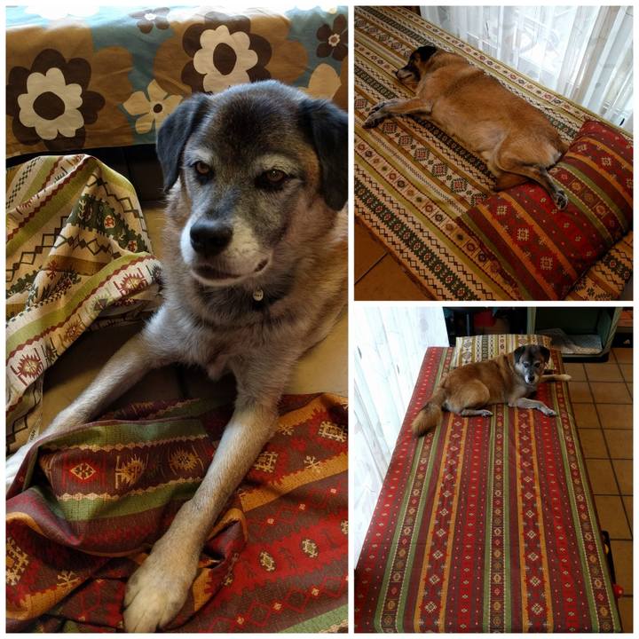 5efe1a9a 7faf 4abb 86e0 a492fabbdb4b 1739657191037