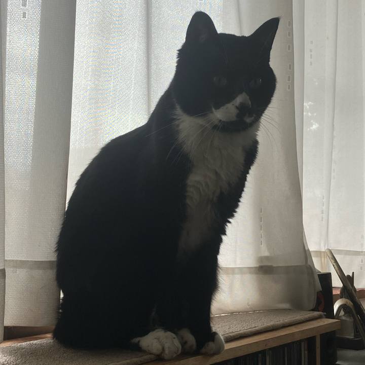 5efe4199 4c09 44e1 b7dd b4fb45520c22 1702264774538