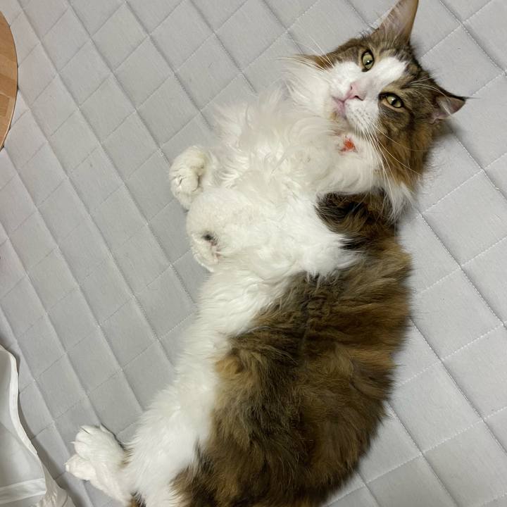 5efe42c9 30bb 438a b506 bcd05eaa3bdb 1696879508132