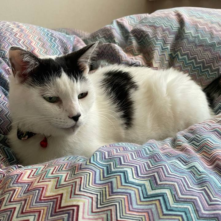 5efe8403 5e21 4c8f a6fa ec36827b0836 1636069725378