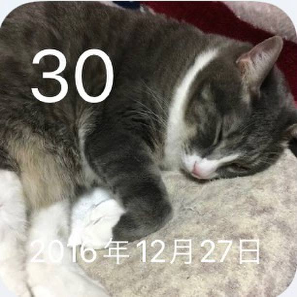 5efe9b87 1169 489f bbee b0a68260d394 1640871387928