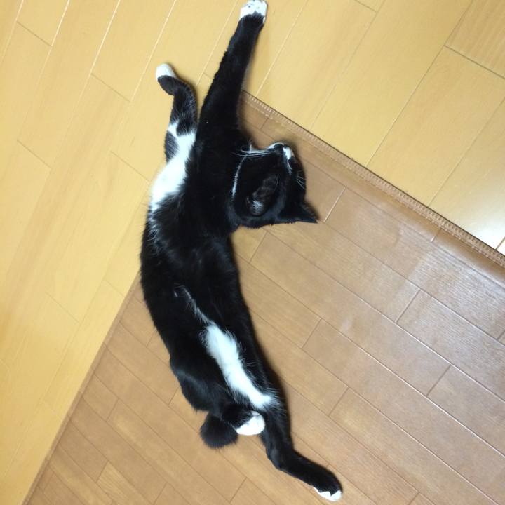 5efed7a0 a1e9 4fdc 907a 7ec3eb5618b6 1512532140798