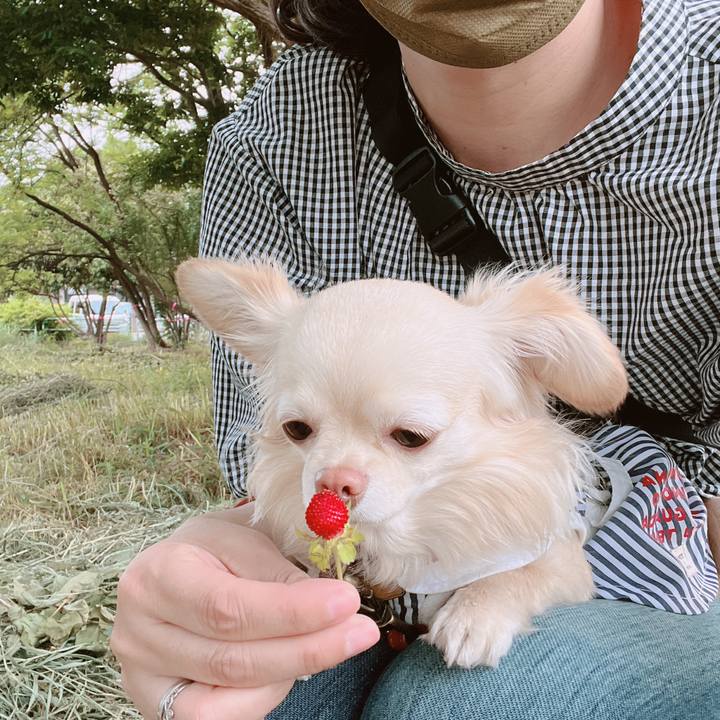 5efef02e 57c5 4841 9d16 916f83340bd8 1653037907140