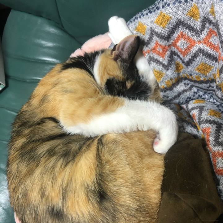 5eff0649 82f3 468a b5bd df8657d4a668 1580476451306