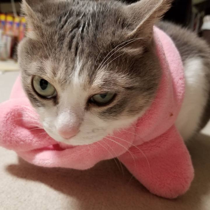 5eff3e06 1c69 4b0b 860b 4a9258cbbed5 1615271159269