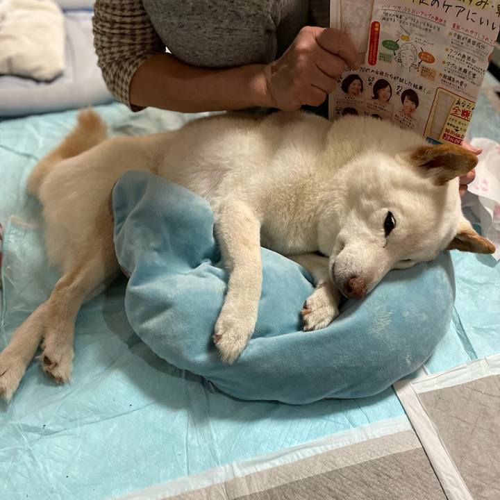 5effeafb feda 49d2 920d d8517665115f 1647254746293