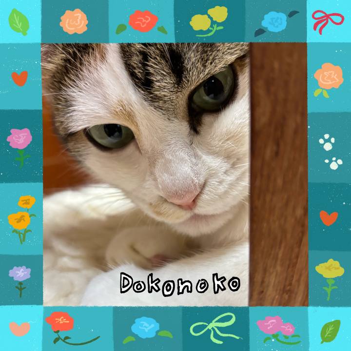 5efffac9 e2aa 450a ba1f 0c6aa13bde60 1715522456773