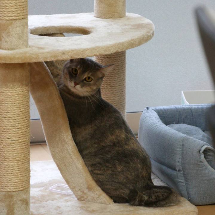 5efffd4b c25c 46e3 b01e 666a2a6b6bfa 1512005496749