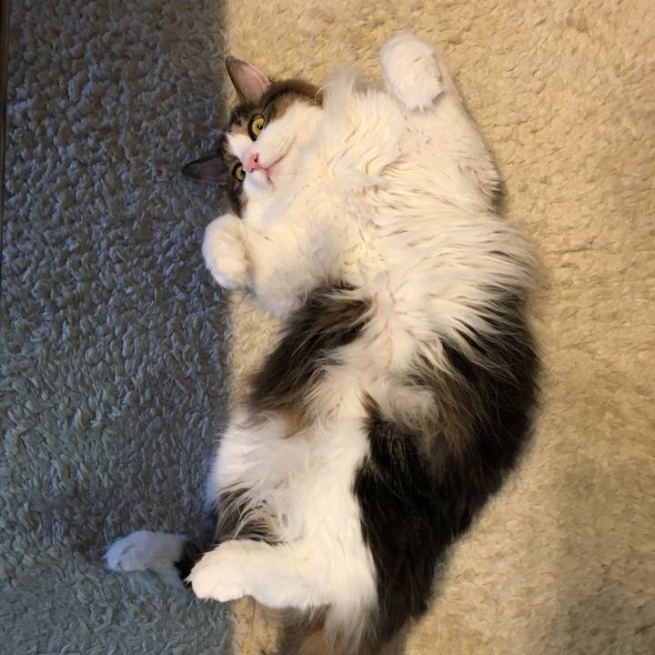 5f000221 4ea6 4b6b bce1 988c8a538e97 1544262588970