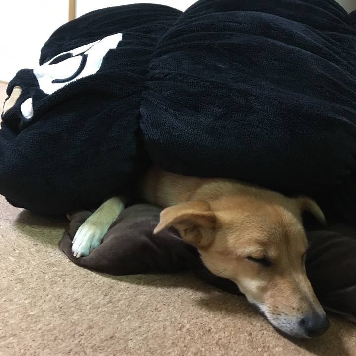 5f001459 3cfd 42c3 95d2 f55f417f254a 1510378441599