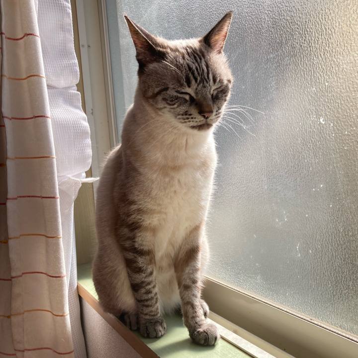 5f003263 ab72 41b4 ac73 d46d6ab9ff4a 1766895738519