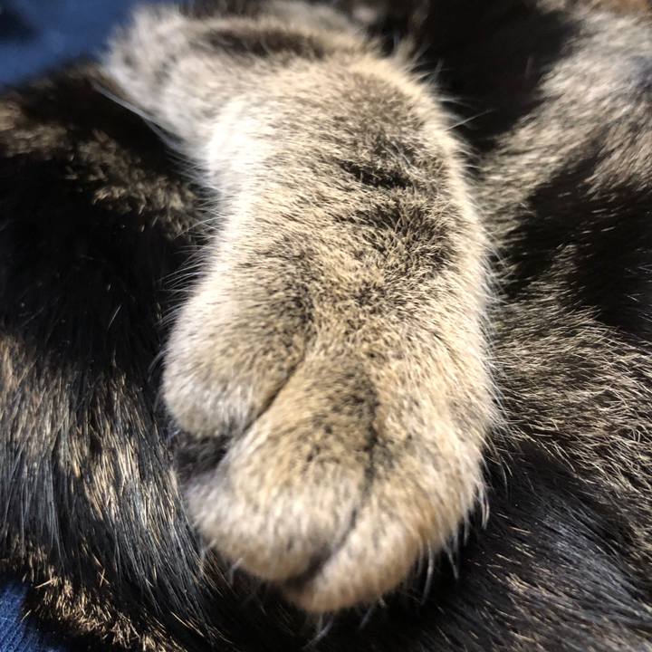 5f003cd4 2a64 4f83 a233 29c56a7fcf6a 1737370860402