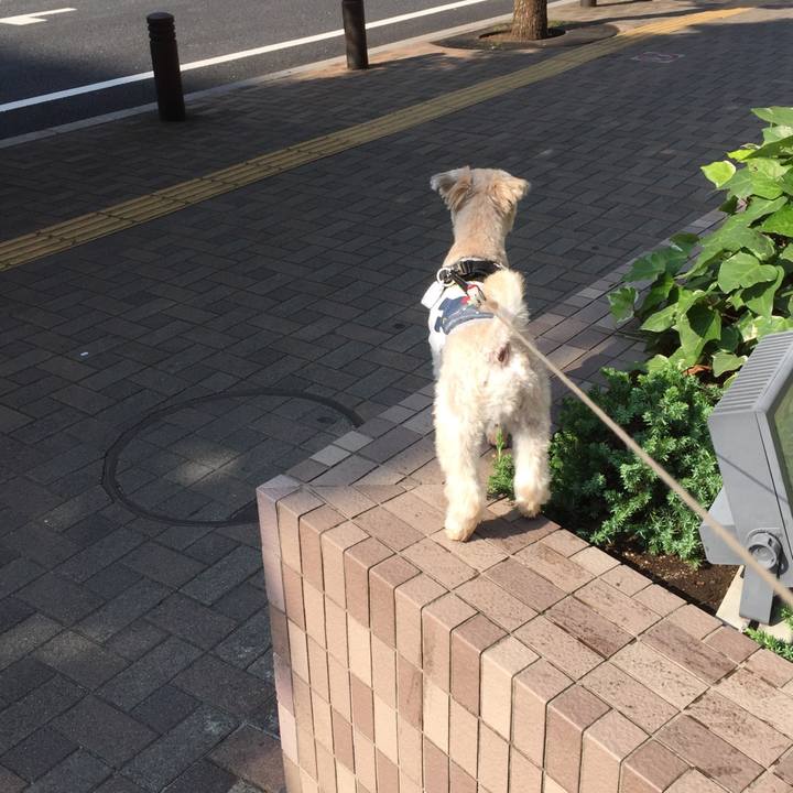 5f007e60 3292 4e61 a5ea c73581898180 1531700450861