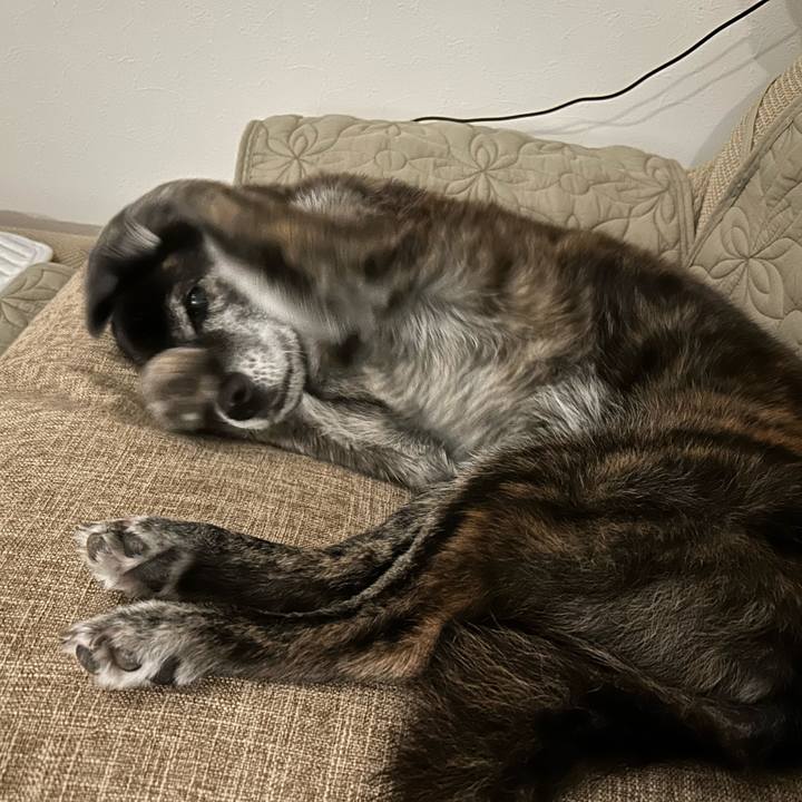 5f00a7dd f2fa 42c6 a92c 9d4a17909c0b 1722862375754