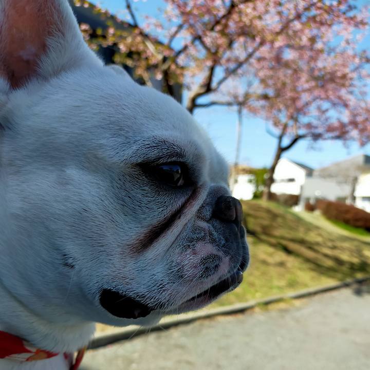 5f00f035 7673 42da 8aa6 61a9c56e6008 1647310451540