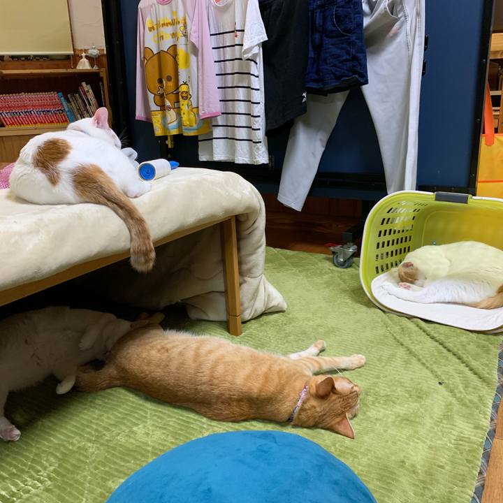 5f014e70 eb8f 49a9 89dd c0b3f514432a 1555848715022