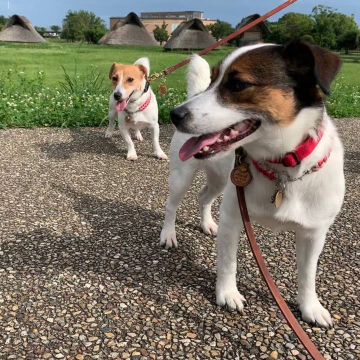 5f0173d2 a89d 4e22 a707 8de7ea57ab4d 1562396278741