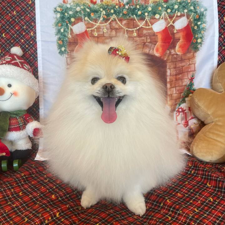 5f0215de 530b 4f0b ad34 eeab3e077c90 1734063617026